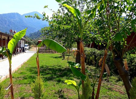 turkiye/mugla/marmaris/albatros-beach-butik-otel_3657db50.jpg