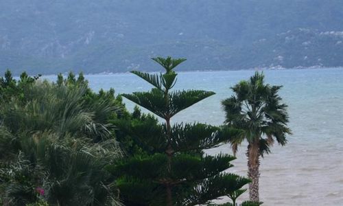 turkiye/mugla/marmaris/almena-hotel-1900324.jpg