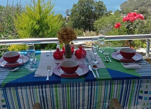 turkiye/mugla/marmaris/almira-tatil-evleri_40a327c5.jpg