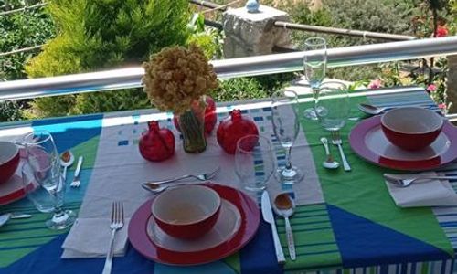 turkiye/mugla/marmaris/almira-tatil-evleri_d990f1a9.jpg