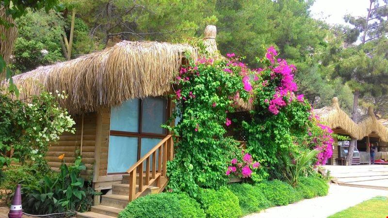 Mugla bungalow discount