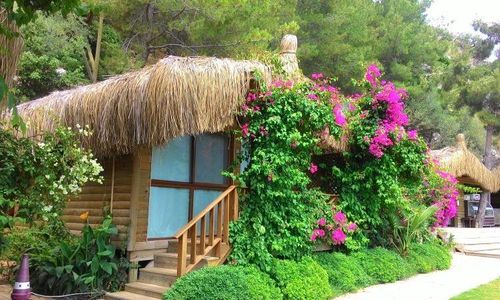 turkiye/mugla/marmaris/azras-bungalow-houses_cceb2cda.jpg