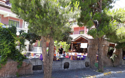 Bahar Apart · 2