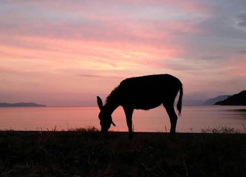 turkiye/mugla/marmaris/bonjuk-bay_7c364156.jpg