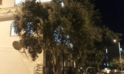 turkiye/mugla/marmaris/city-center-home_8d06ad60.jpg