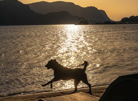 turkiye/mugla/marmaris/contess-by-faros-otel_330eec37.jpg