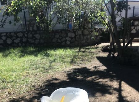 turkiye/mugla/marmaris/deniz-kizi-pansiyon_94a13365.jpg