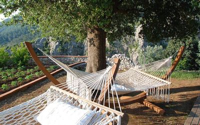 Dionysos Hotel · 5