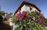Massi Villa