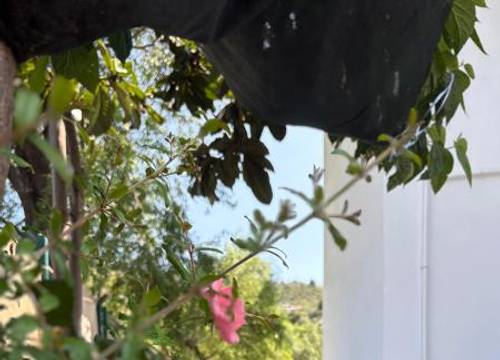 turkiye/mugla/marmaris/ebruca-pansiyon-selimiye_0131f006.jpg