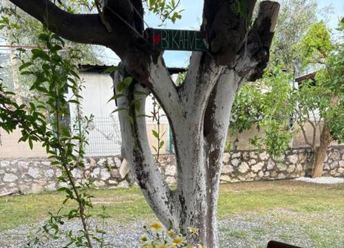 turkiye/mugla/marmaris/ebruca-pansiyon-selimiye_02f3d008.jpg