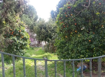 turkiye/mugla/marmaris/ecer-pansiyon_880e0366.jpg