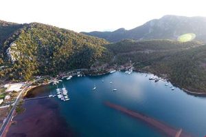 turkiye/mugla/marmaris/erol-motel_f7ee2bee.jpeg