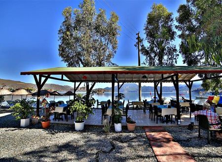 turkiye/mugla/marmaris/flora-saadet-apart-hotel-998285332.JPG