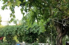 turkiye/mugla/marmaris/fundamental-homes_8eed93df.jpg