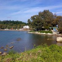 Gelincik Pansiyon