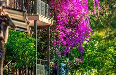 turkiye/mugla/marmaris/grand-yazici-club-marmaris-palace-a00bd103.jpg