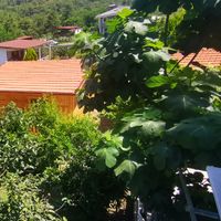 Çamlı Bungalov Evleri