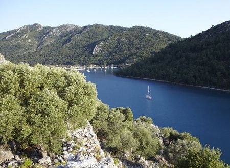 turkiye/mugla/marmaris/marti-hemithea-hotel-26803_.jpg