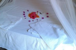 turkiye/mugla/marmaris/mavis-bungalow_5de9d09c.jpg