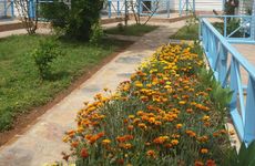turkiye/mugla/marmaris/mavis-bungalow_a7a9e32a.jpg
