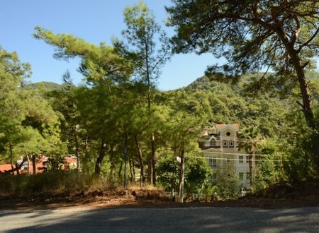 turkiye/mugla/marmaris/petunya-konak-hotel-1465613.jpg