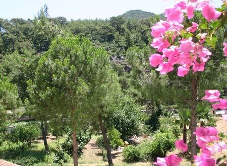 turkiye/mugla/marmaris/petunya-konak-hotel-1465621.jpg