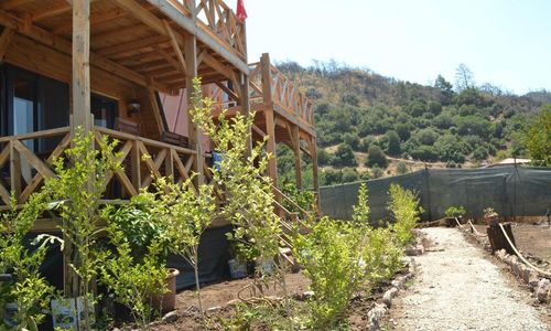 turkiye/mugla/marmaris/pikan-bungalov_dfa1f545.jpg