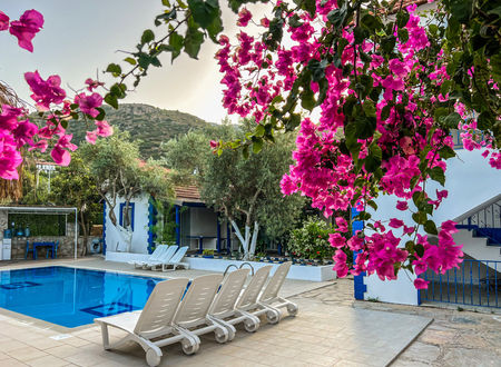 turkiye/mugla/marmaris/pineloft-selimiye_10f276c9.jpg