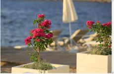 turkiye/mugla/marmaris/poseidon-butik-hotel-yat-club-selimiye_1f792d92.jpg