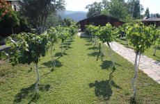 turkiye/mugla/marmaris/sakin-vadi-winehouse_fa0489c9.jpg
