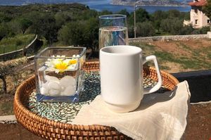 turkiye/mugla/marmaris/salvia-butik-sogut_a413ee37.jpg