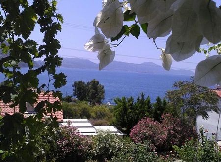 turkiye/mugla/marmaris/sogut-ada-pansiyon-ve-apart_122733b2.jpg