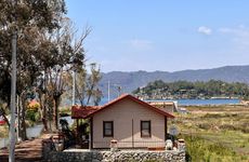 turkiye/mugla/marmaris/tulip_2369a354.jpg