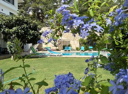 turkiye/mugla/marmaris/white-suites-icmeler_32230020.jpg