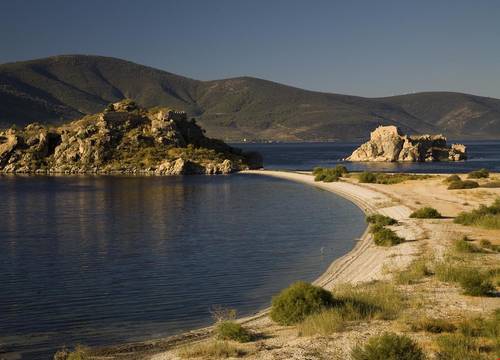 turkiye/mugla/milas/agora-pansiyon_39133183.jpg