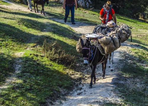 turkiye/mugla/milas/agora-pansiyon_5f8a3fb6.jpg