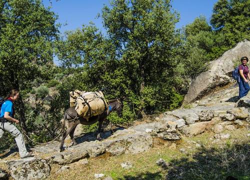 turkiye/mugla/milas/agora-pansiyon_6b01b114.jpg
