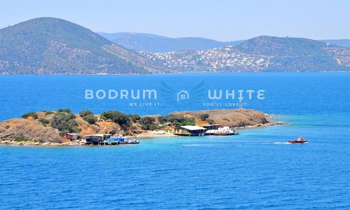 turkiye/mugla/milas/bodrum-white-villas-34b21039.jpg