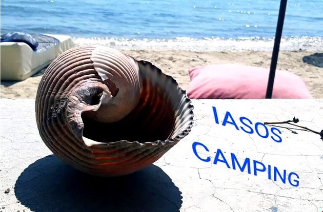 turkiye/mugla/milas/iasos-peninsula-kamp_b46c0dc0.jpg