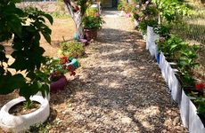 turkiye/mugla/milas/marti-pansiyon-10342-4410e1e9.jpg