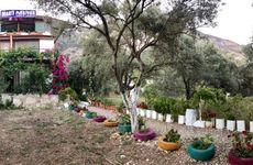 turkiye/mugla/milas/marti-pansiyon-10342-64883714.jpg