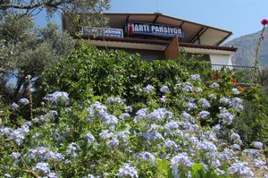 turkiye/mugla/milas/marti-pansiyon-78179a01.jpg