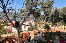 turkiye/mugla/milas/nek-house-zeytin_5d025aef.jpg