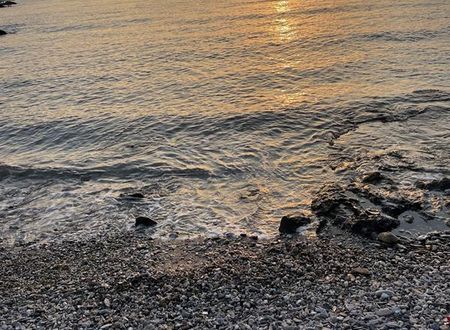 turkiye/mugla/milas/ni-marin-hotel_d5a1ce50.jpg