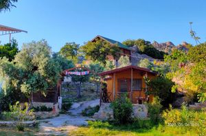 turkiye/mugla/milas/selenes-pansiyon_71a92182.jpg
