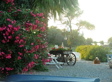 turkiye/mugla/milas/yalicapkini-boutique-hotel-6ffe5bd8.jpg