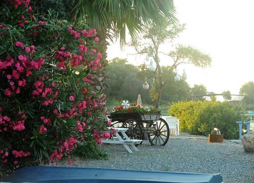 turkiye/mugla/milas/yalicapkini-boutique-hotel-6ffe5bd8.jpg