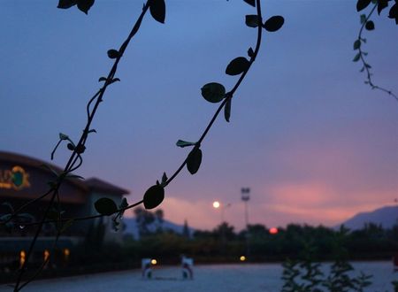 turkiye/mugla/mugla-akyaka/padok-premium-hotel-stables-7737d9b0.jpg