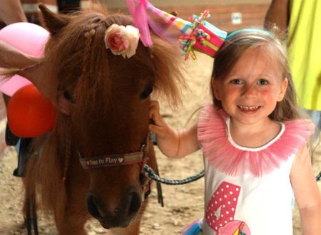 turkiye/mugla/mugla-akyaka/padok-premium-hotel-stables-e9ce6b6c.jpg